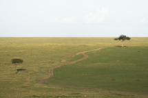 Landschaft_Kenya_MasaiMara_A1_0849