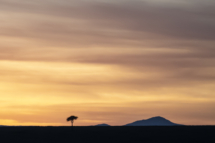 Landschaft_Kenya_MasaiMara_A1_2019