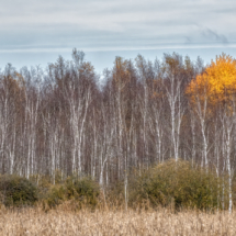 Landschaft_A1_6924-02