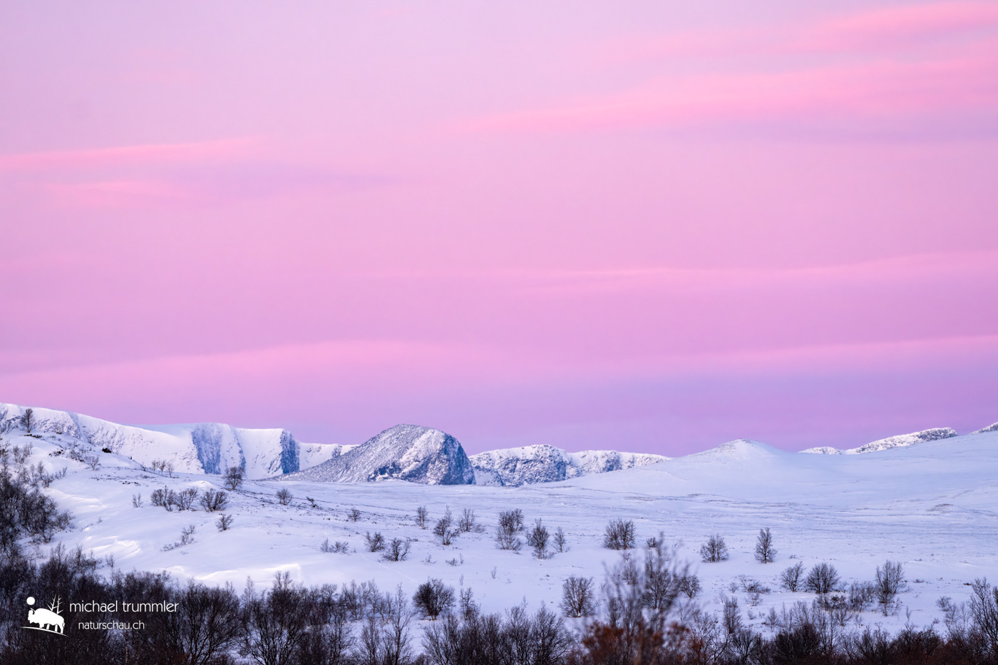 Landschaft_Dovrefjell_A1_8848